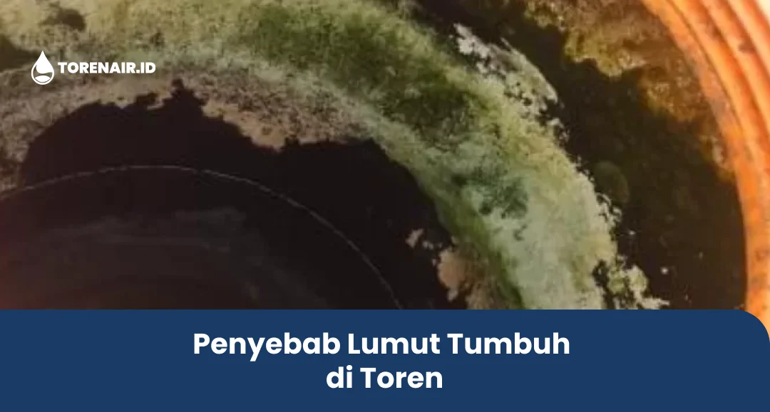 Penyebab Lumut Tumbuh dalam Toren Air