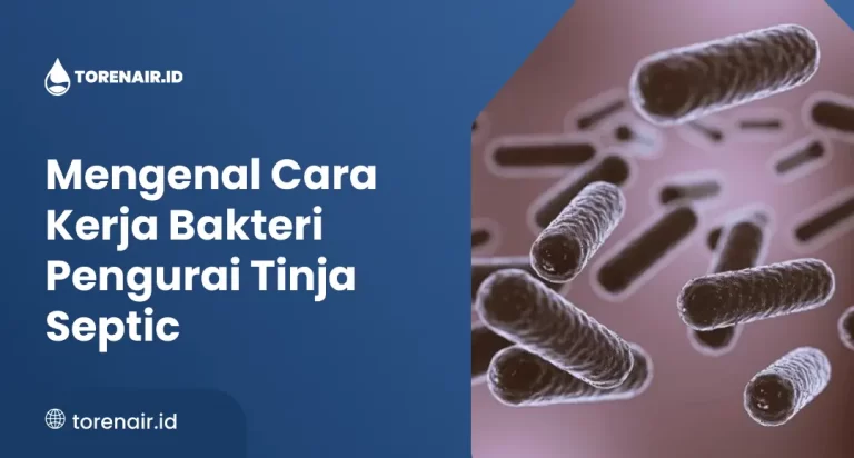 Mengenal Cara Kerja Bakteri Pengurai Tinja Septic