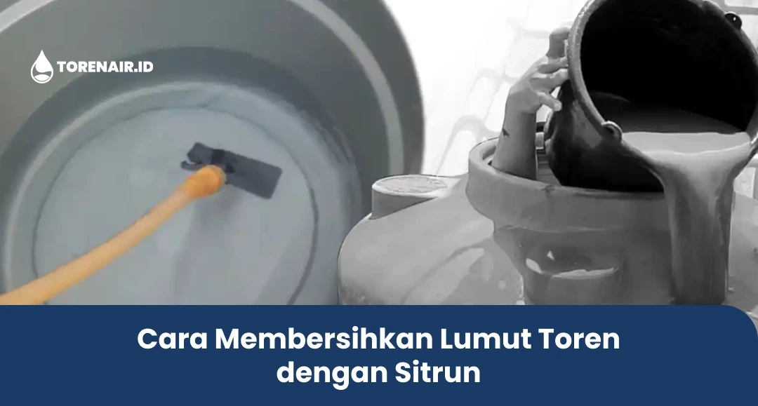 Cara Membersihkan Lumut Toren dengan Sitrun