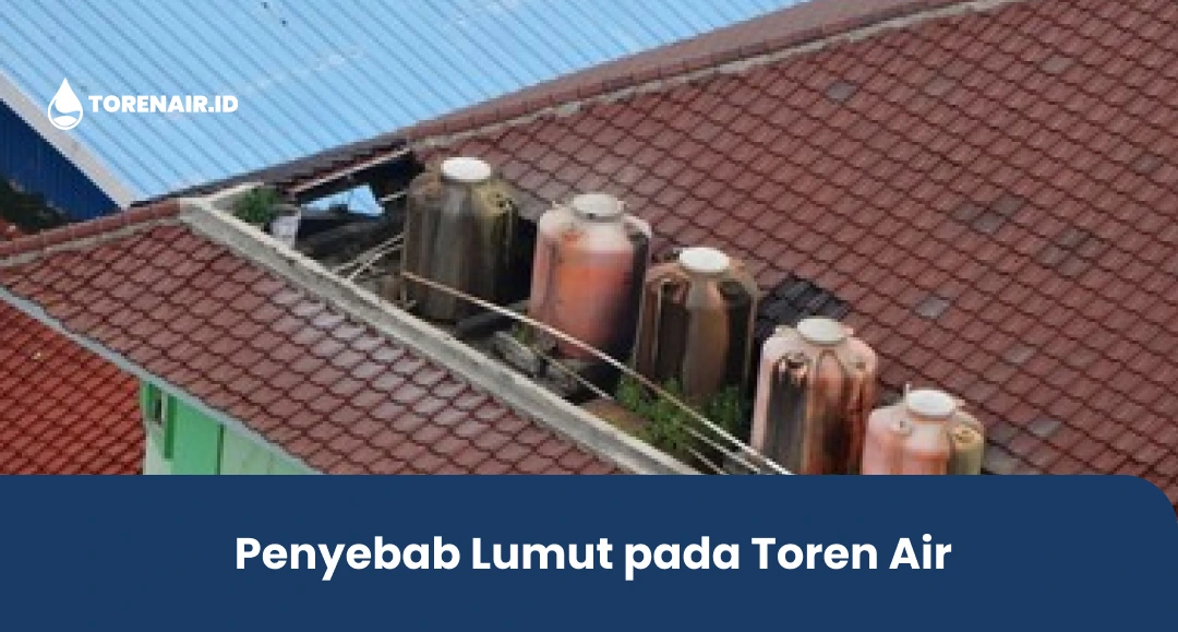 Penyebab Lumut pada Toren Air