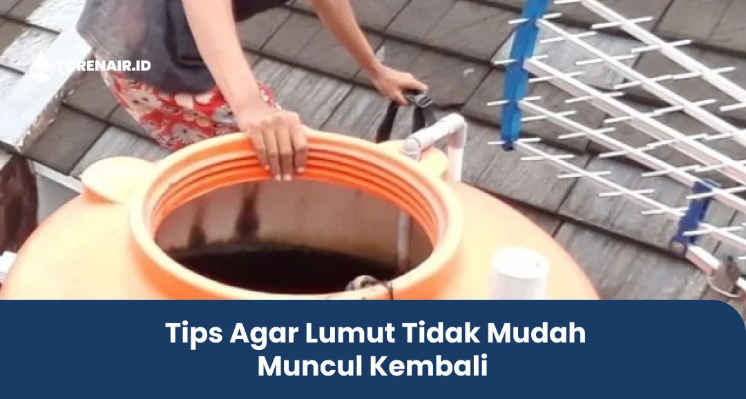 Tips Agar Lumut Tidak Mudah Muncul Kembali