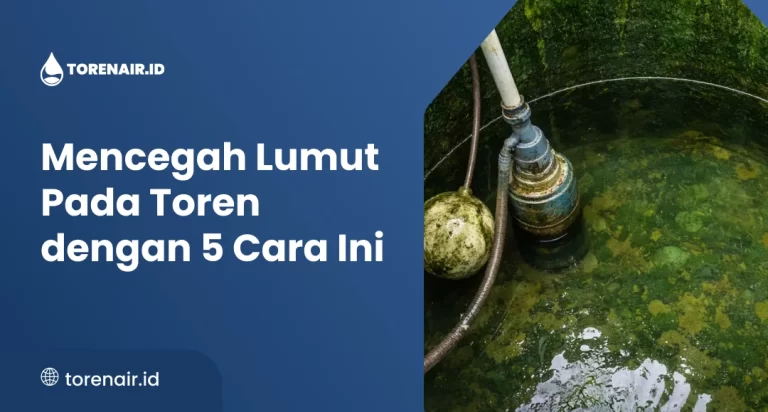 Mencegah Lumut Pada Toren Mencegah Lumut Pada Toren dengan 5 Cara Ini