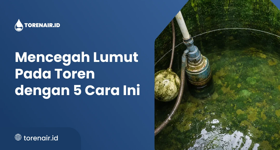 Mencegah Lumut Pada Toren Mencegah Lumut Pada Toren dengan 5 Cara Ini
